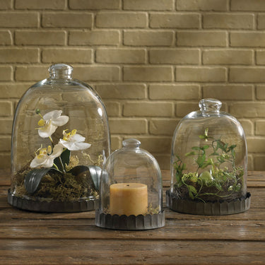 Glass Bell Cloche - 9.5